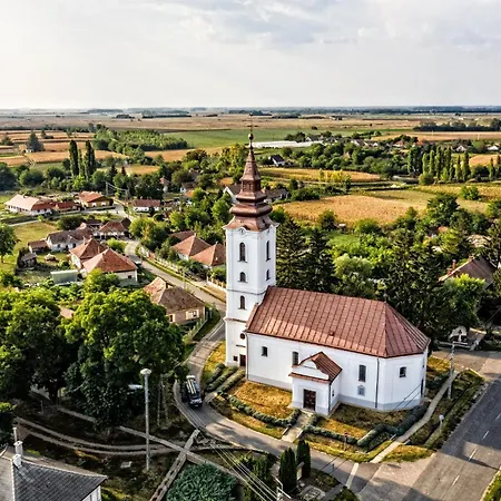 Pottos Porta Vancsod